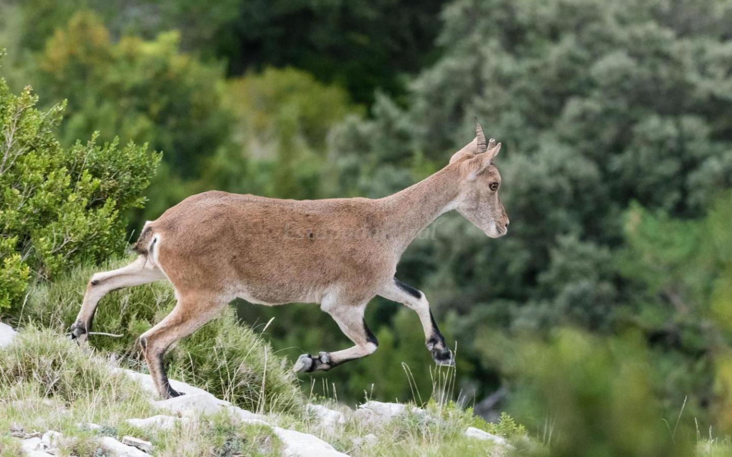 Casa Rural Parc Natural Dels Ports Alfara de Carles Εξωτερικό φωτογραφία
